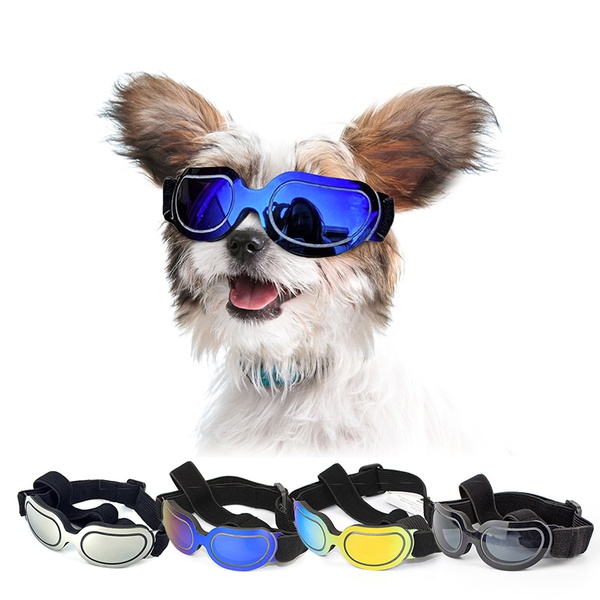 Colorful pet glasses sunglasses cat sunglasses